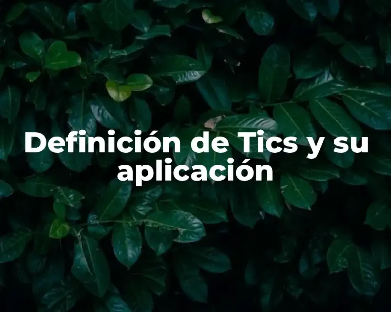 Definición de Tics y su aplicación
