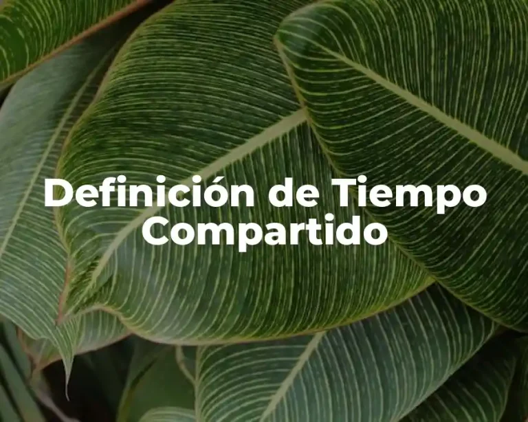 Definición de Tiempo Compartido