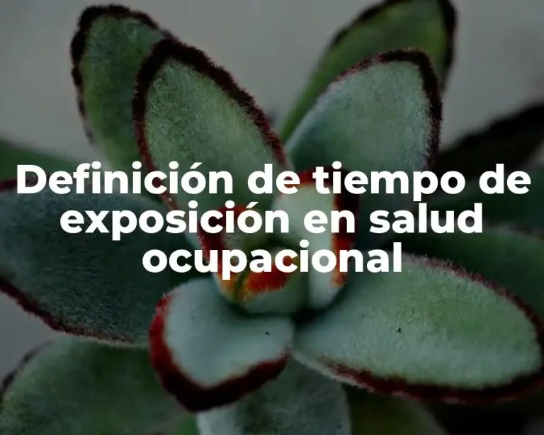 Definición de tiempo de exposición en salud ocupacional