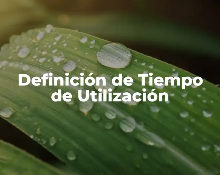 Definición de Tiempo de Utilización