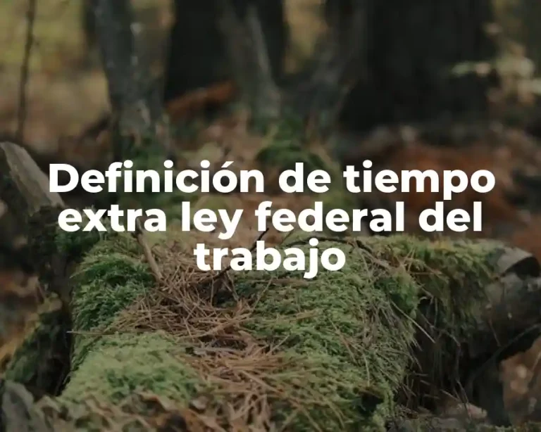 Definición de tiempo extra ley federal del trabajo