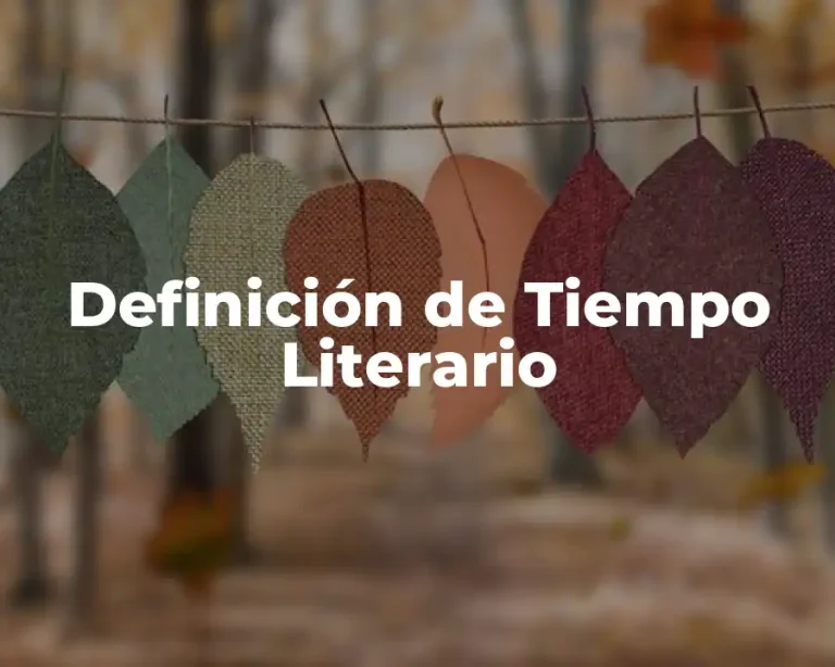 Definición de Tiempo Literario
