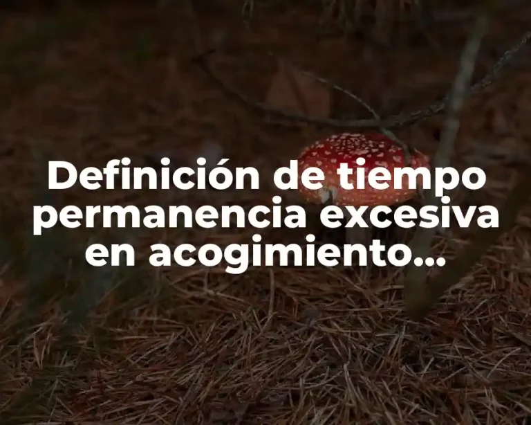 Definición de tiempo permanencia excesiva en acogimiento residencial