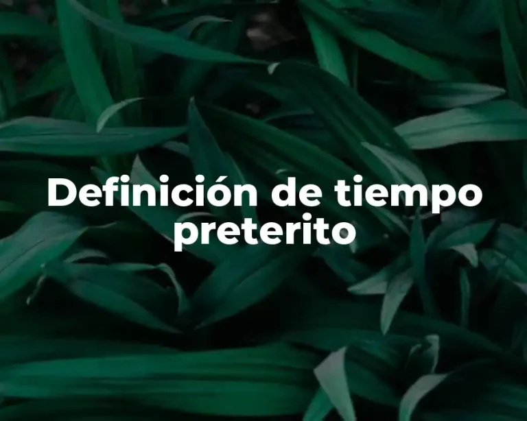 Definición de tiempo preterito