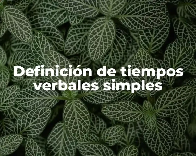 Definición de tiempos verbales simples