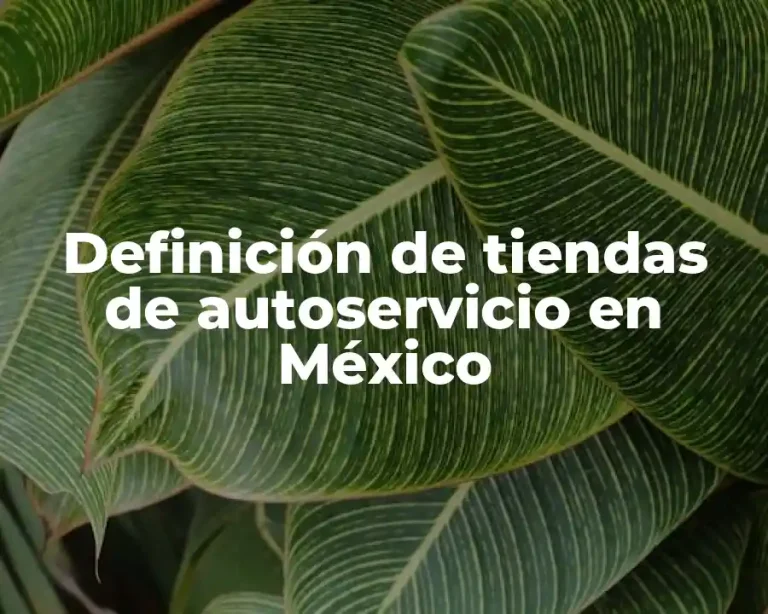 Definición de tiendas de autoservicio en México