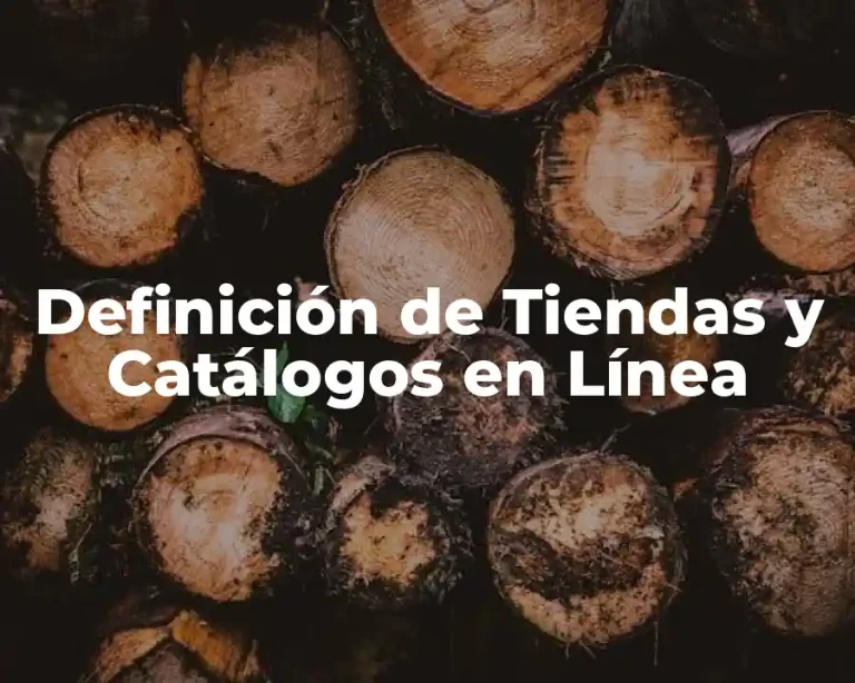 Definición de Tiendas y Catálogos en Línea