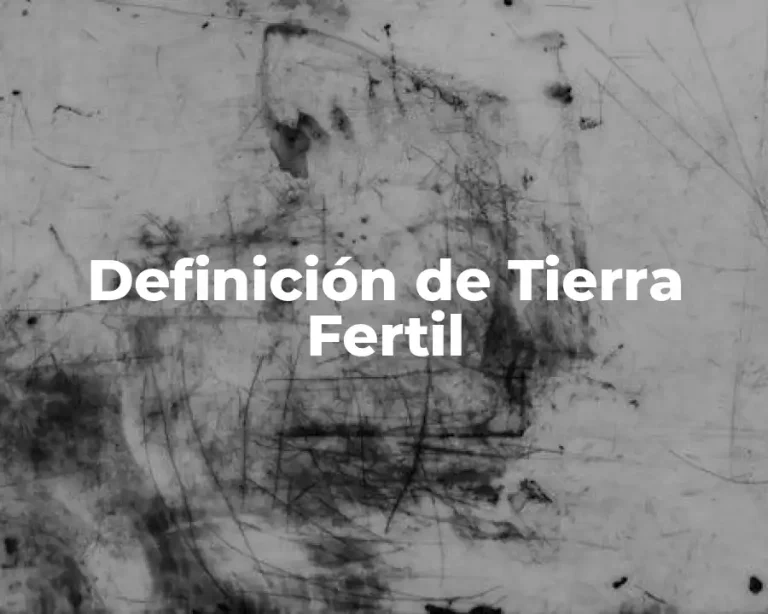 Definición de Tierra Fertil