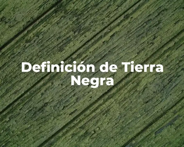 Definición de Tierra Negra