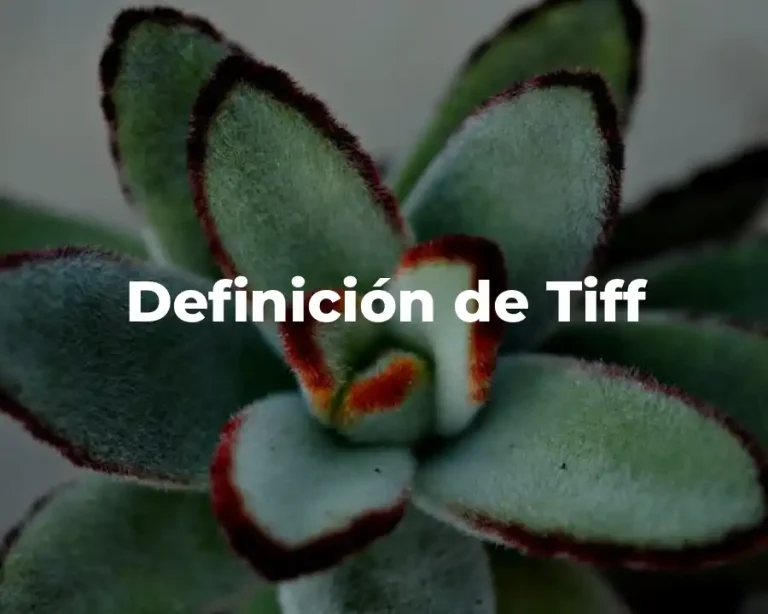 Definición de Tiff