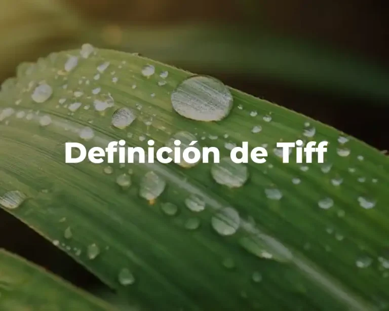 Definición de Tiff
