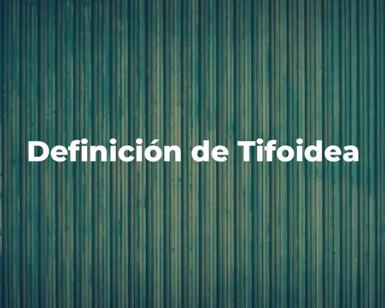 Definición de Tifoidea
