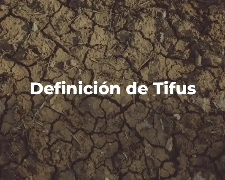 Definición de Tifus