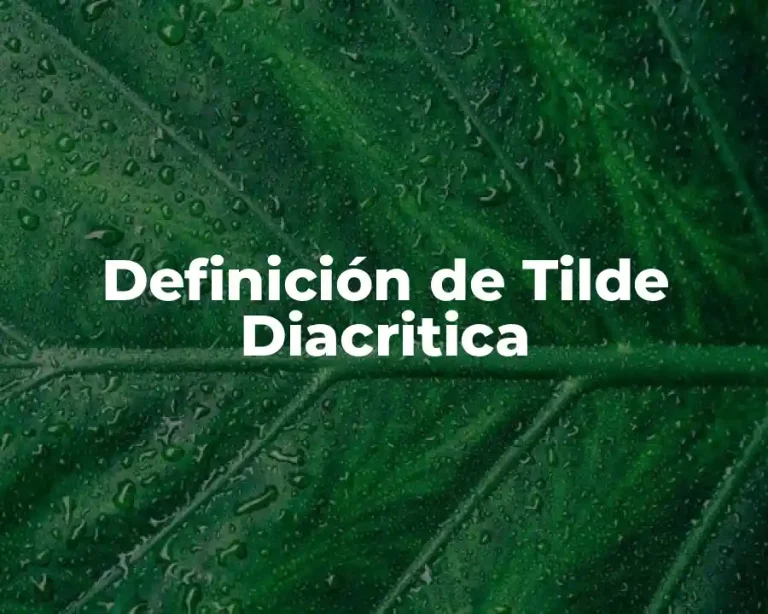 Definición de Tilde Diacritica