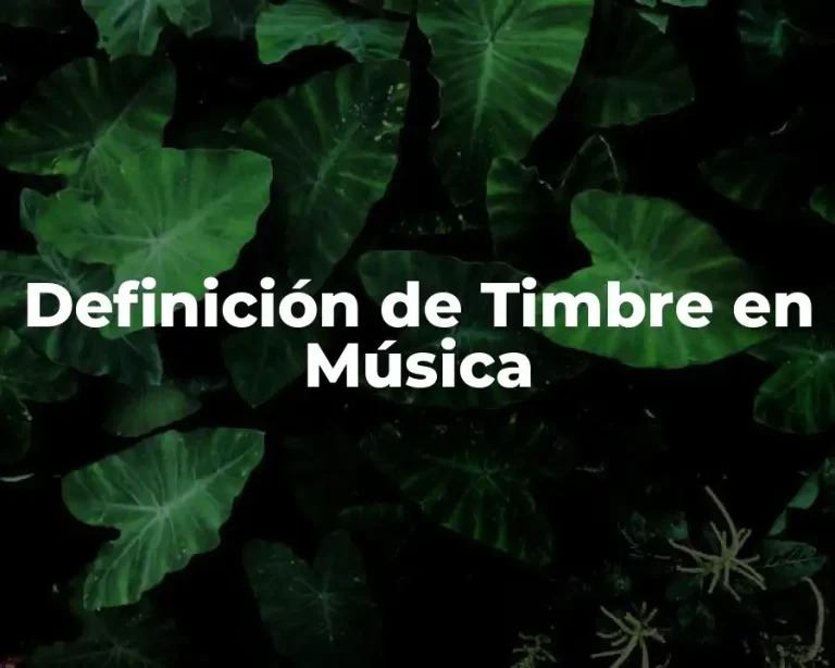 Definición de Timbre en Música