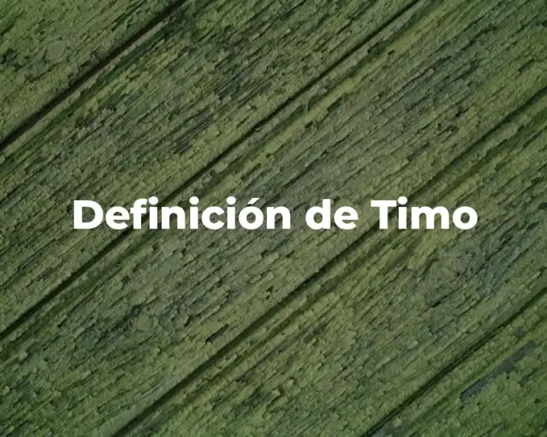 Definición de Timo