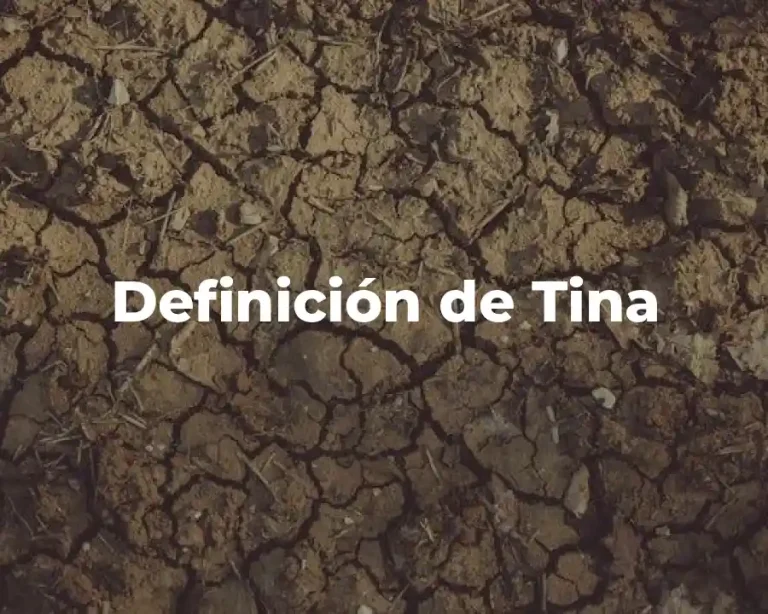 Definición de Tina