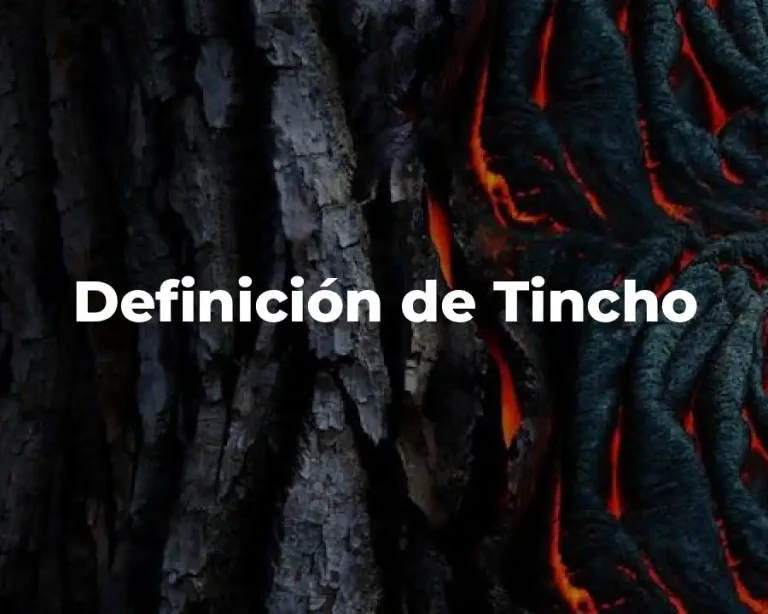 Definición de Tincho