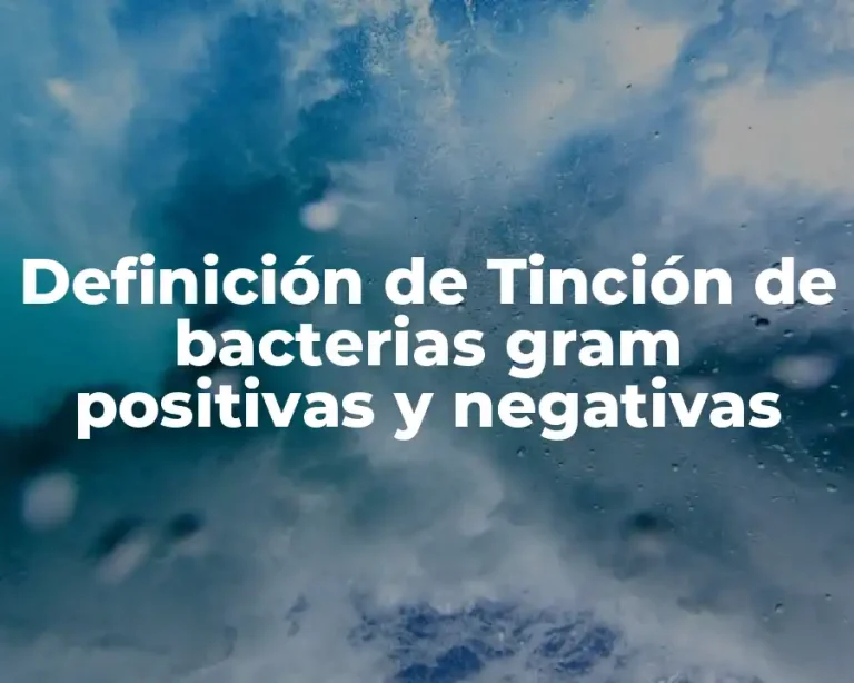 Definición de Tinción de bacterias gram positivas y negativas