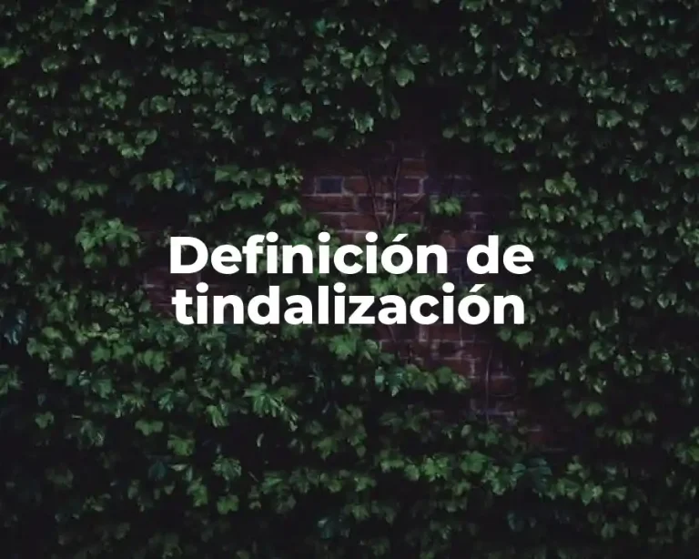 Definición de tindalización