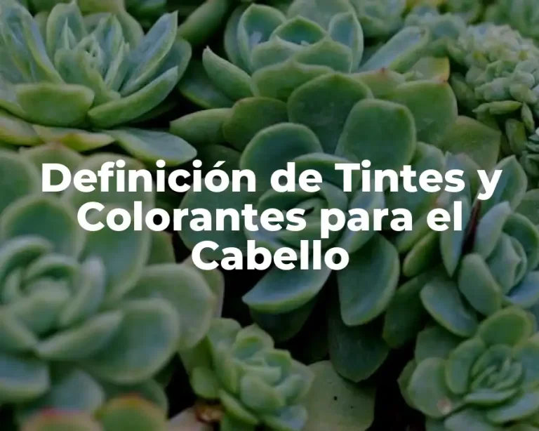 Definición de Tintes y Colorantes para el Cabello
