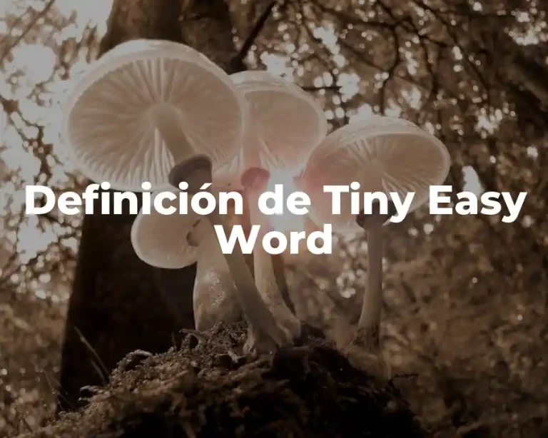 Definición de Tiny Easy Word
