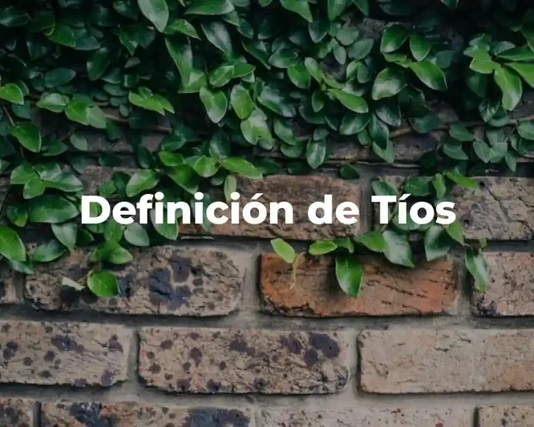 Definición de Tíos