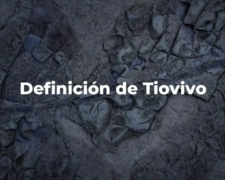 Definición de Tiovivo