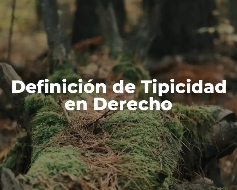 Definición de Tipicidad en Derecho