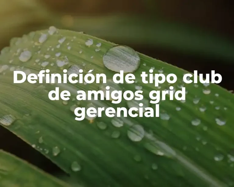 Definición de tipo club de amigos grid gerencial