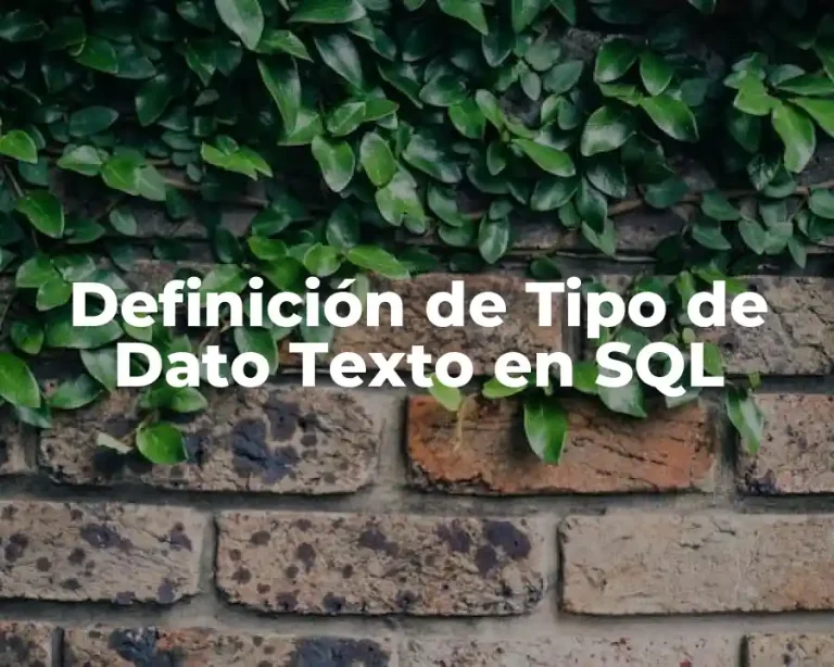 Definición de Tipo de Dato Texto en SQL