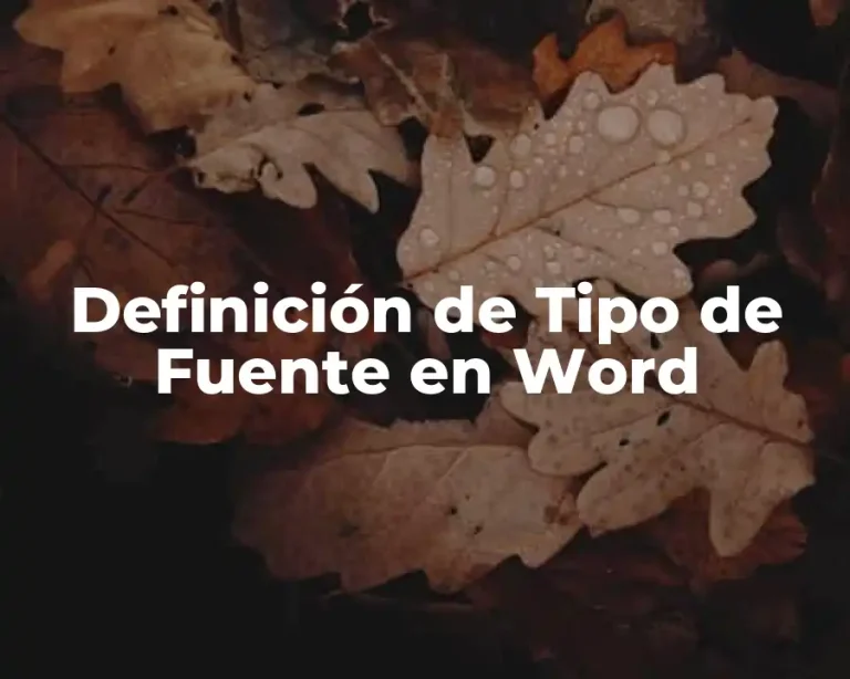 Definición de Tipo de Fuente en Word