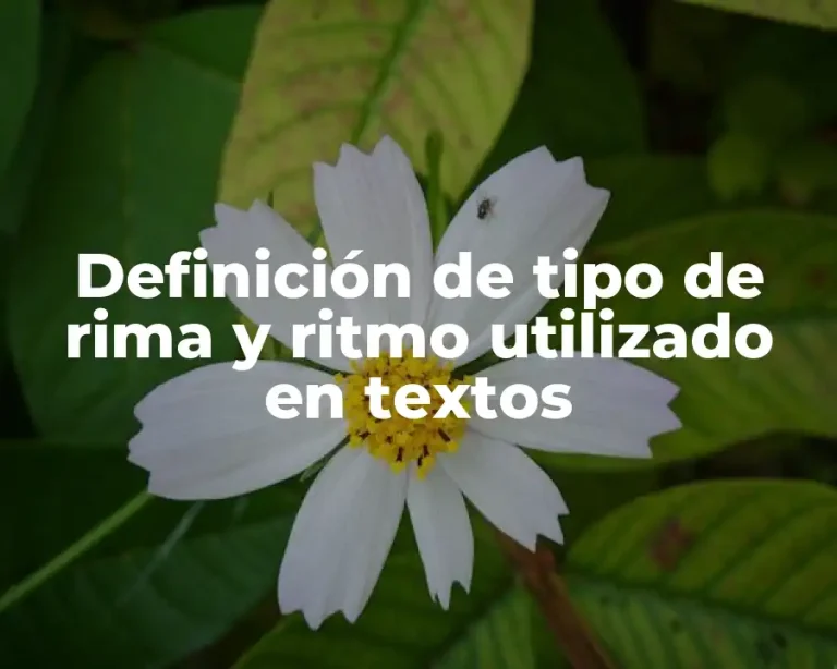 Definición de tipo de rima y ritmo utilizado en textos