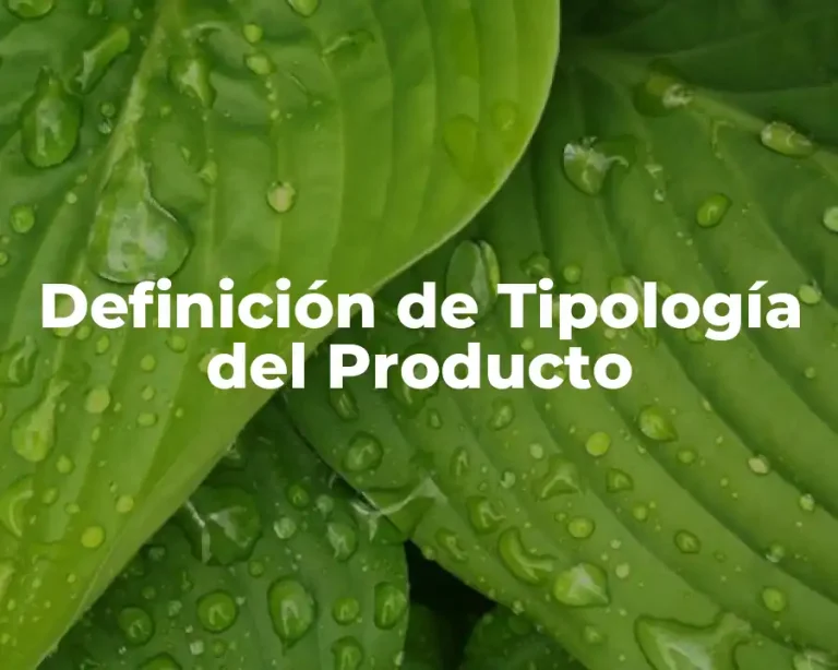 Definición de Tipología del Producto