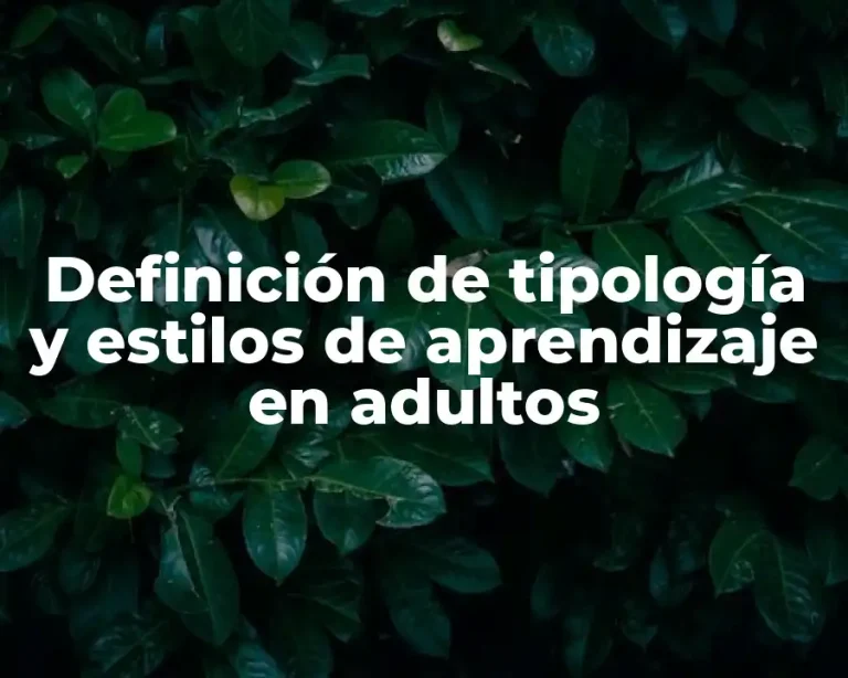 Definición de tipología y estilos de aprendizaje en adultos
