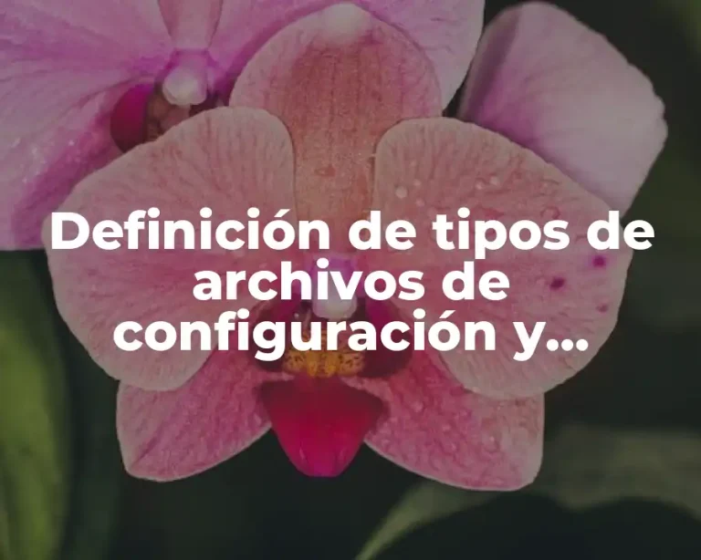 Definición de tipos de archivos de configuración y controladores
