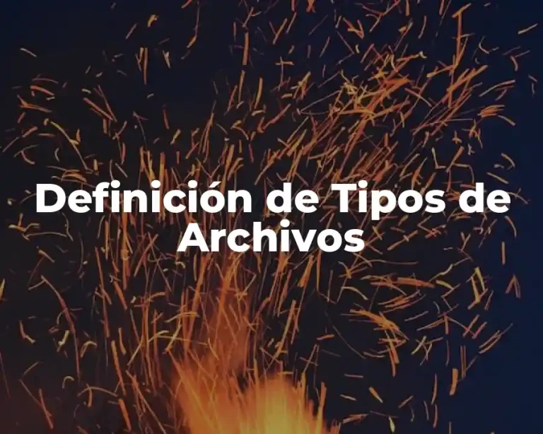 Definición de Tipos de Archivos