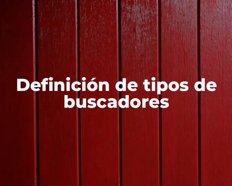 Definición de tipos de buscadores