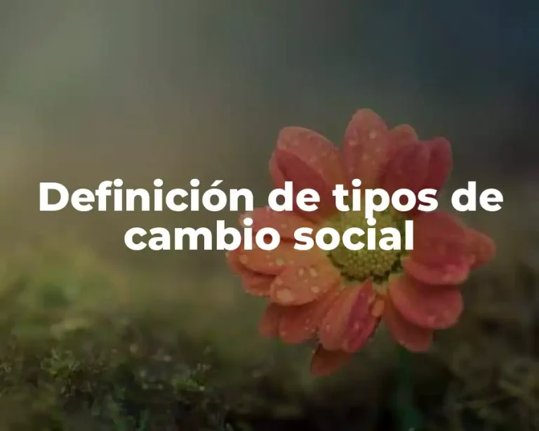 Definición de tipos de cambio social