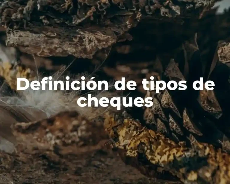 Definición de tipos de cheques