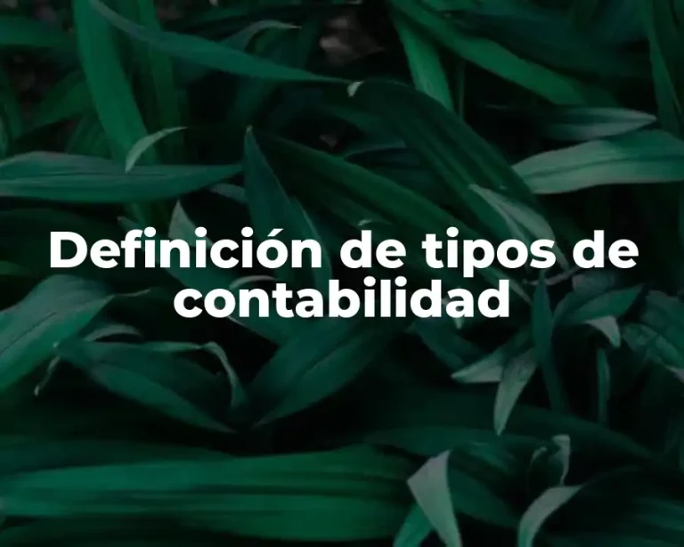 Definición de tipos de contabilidad