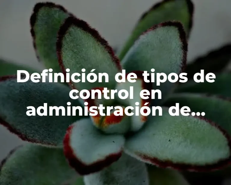 Definición de tipos de control en administración de empresas
