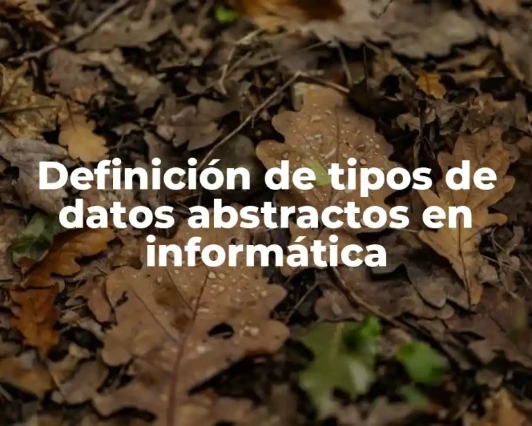 Definición de tipos de datos abstractos en informática