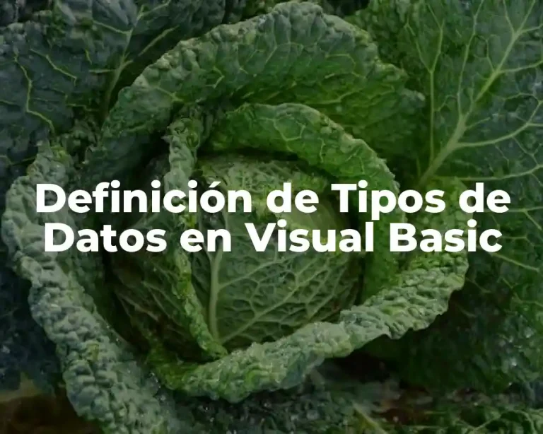 Definición de Tipos de Datos en Visual Basic