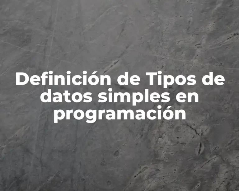 Definición de Tipos de datos simples en programación