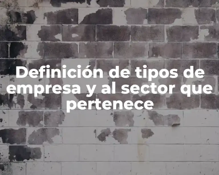 Definición de tipos de empresa y al sector que pertenece