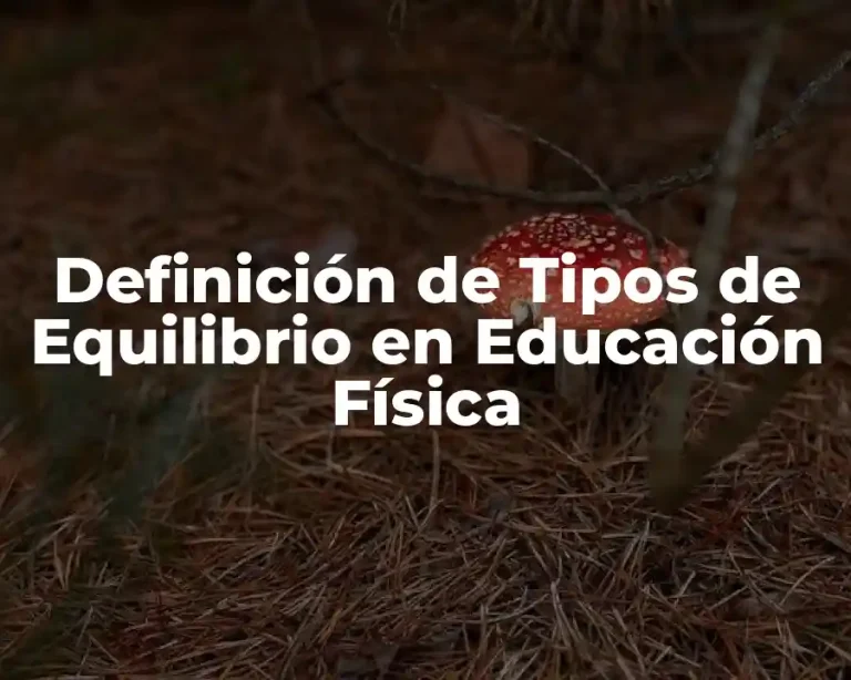 Definición de Tipos de Equilibrio en Educación Física