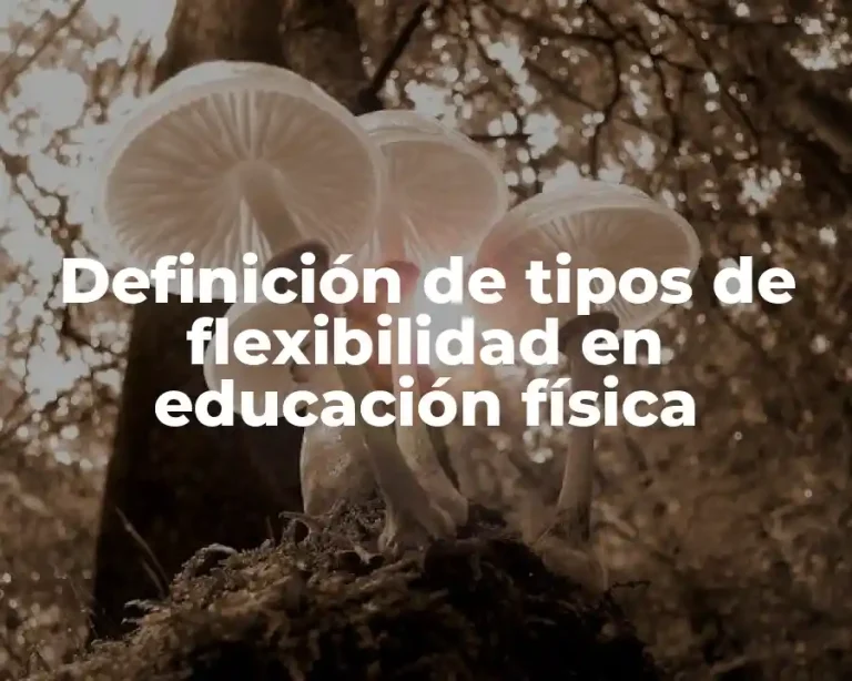 Definición de tipos de flexibilidad en educación física