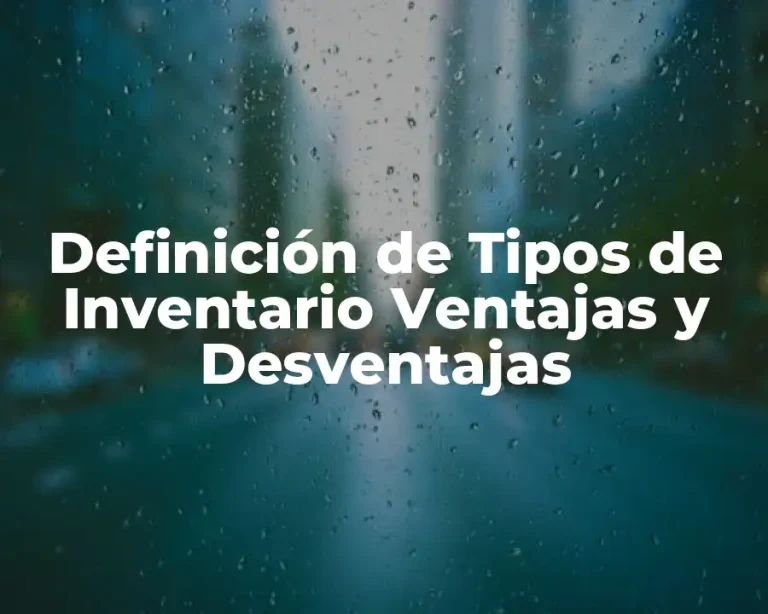 Definición de Tipos de Inventario Ventajas y Desventajas