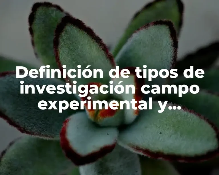 Definición de tipos de investigación campo experimental y documental